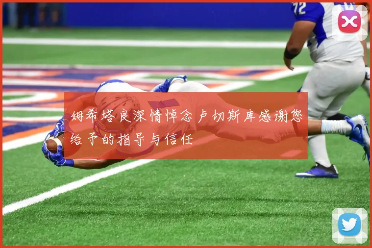 姆希塔良深情悼念卢切斯库感谢您给予的指导与信任