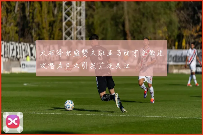 大布泽尔盛赞文班亚马防守全能进攻潜力巨大引发广泛关注