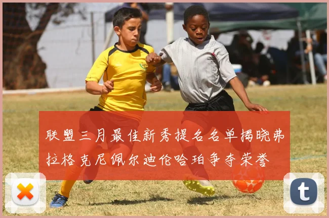 联盟三月最佳新秀提名名单揭晓弗拉格克尼佩尔迪伦哈珀争夺荣誉