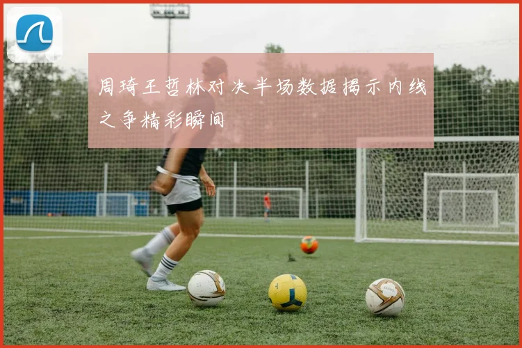 周琦王哲林对决半场数据揭示内线之争精彩瞬间