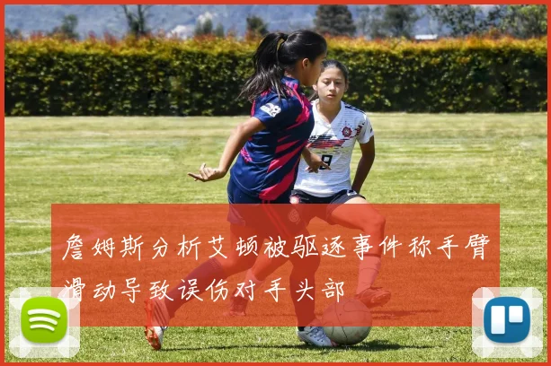 詹姆斯分析艾顿被驱逐事件称手臂滑动导致误伤对手头部